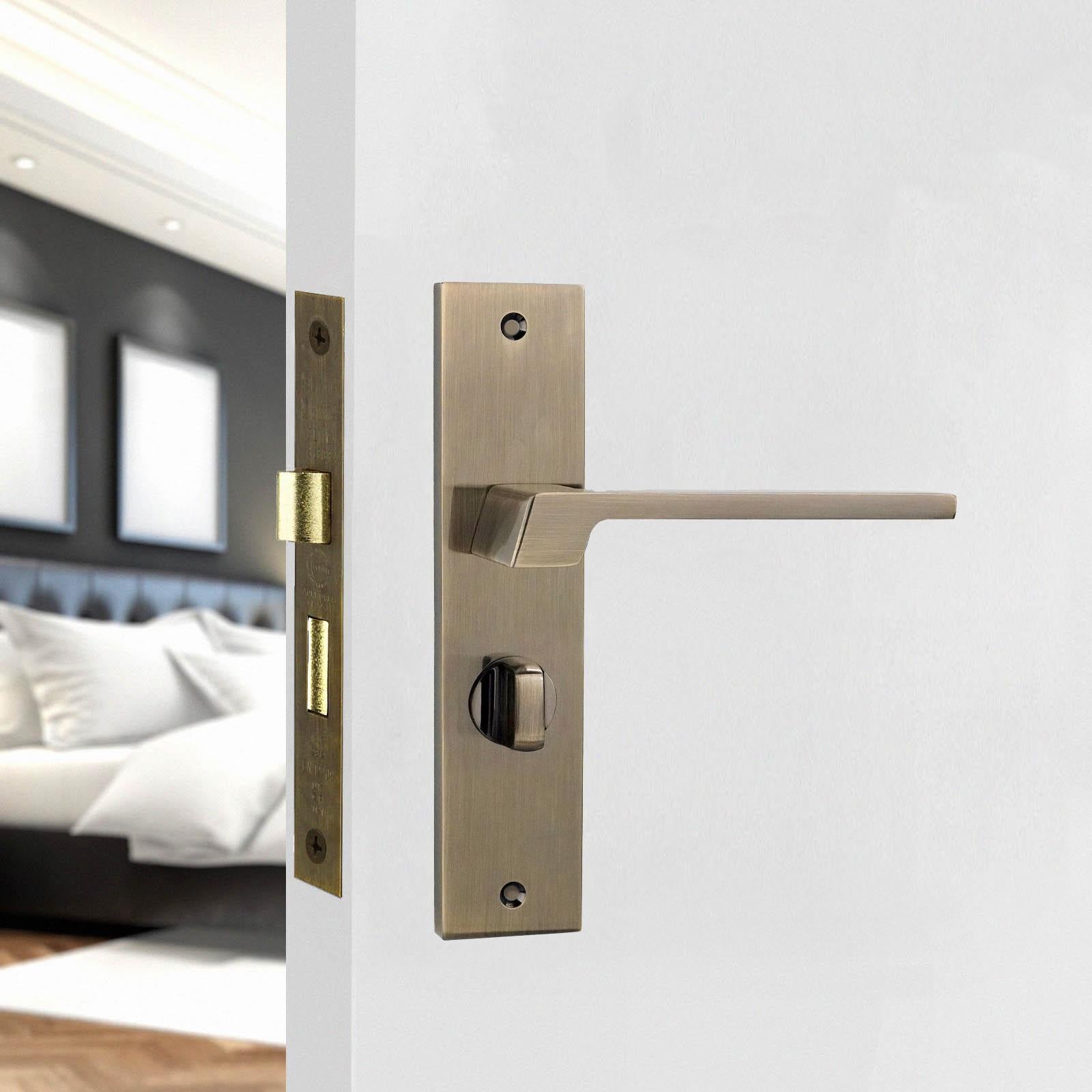 Spectra Door Handle on Backplate - WC - Antique Brass