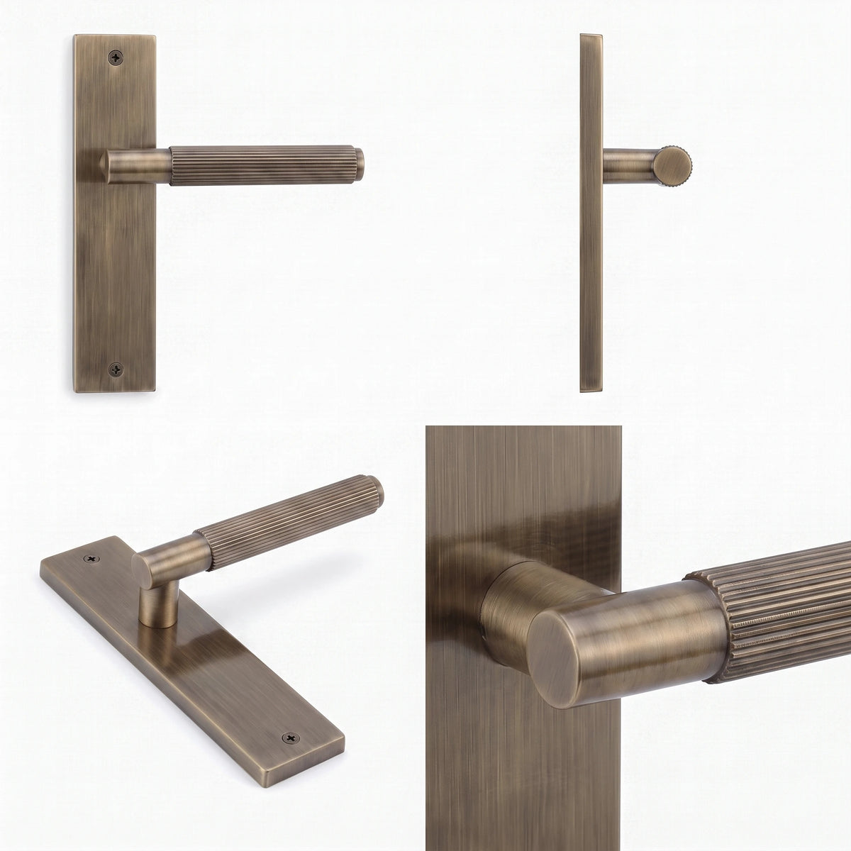 Hera Door Handle on Backplate – shown from multiple angles
