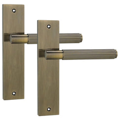Door Handles On Backplate